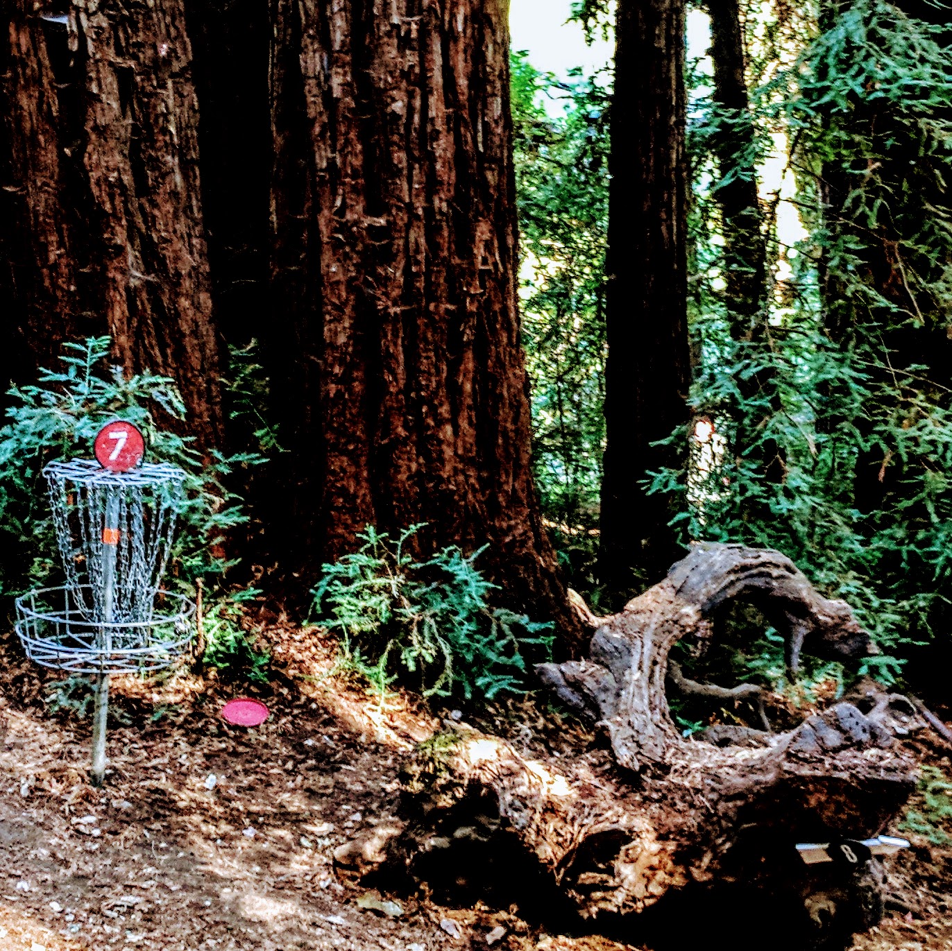 Support Black Mouse Disc Golf