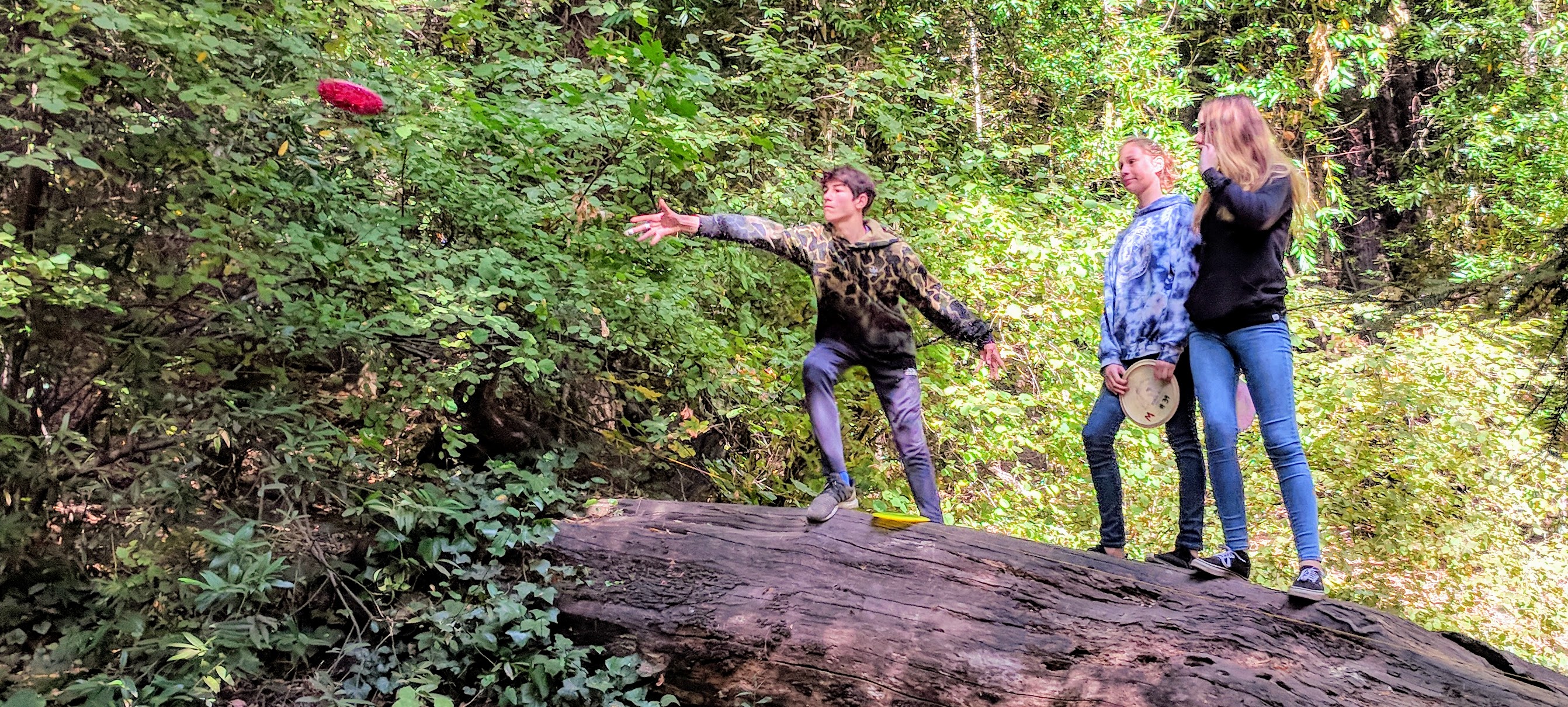 support black mouse disc golf