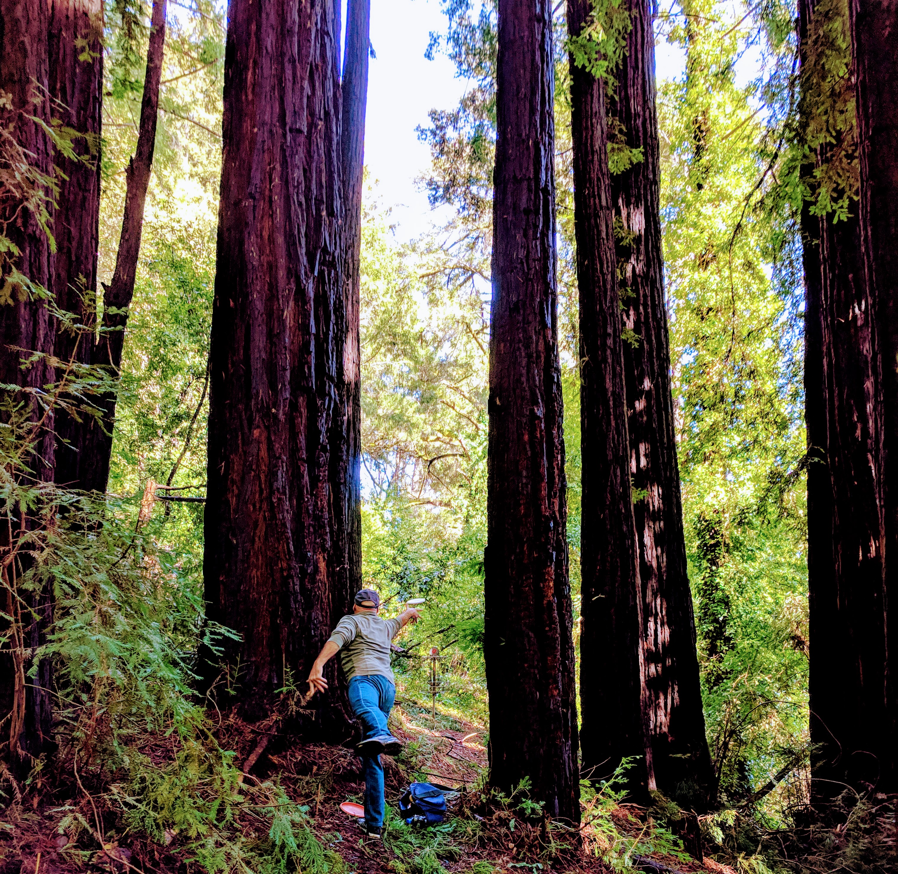 black mouse disc golf